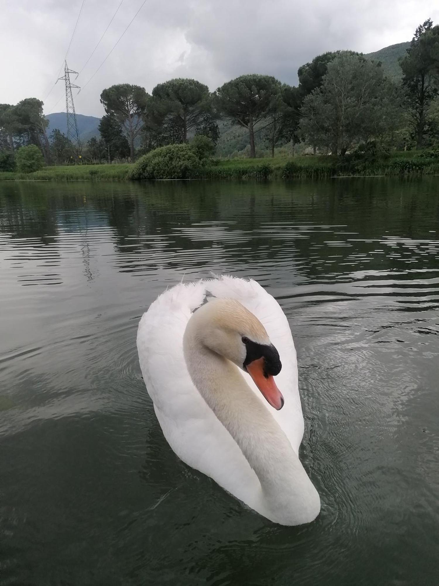La Cannucciola Piediluco Zewnętrze zdjęcie
