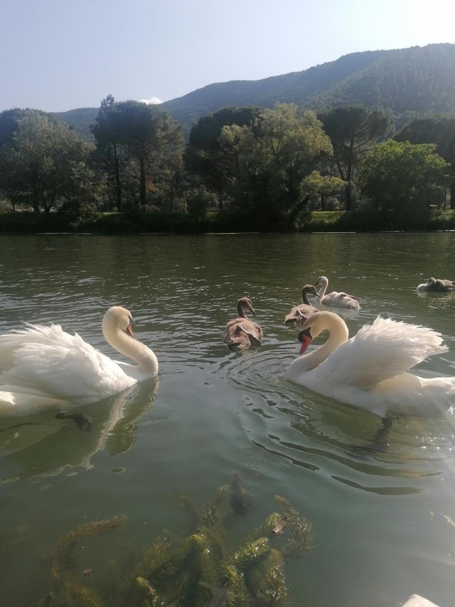 La Cannucciola Piediluco Zewnętrze zdjęcie